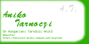 aniko tarnoczi business card